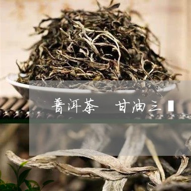 普洱茶 甘油三酯/2023041347369